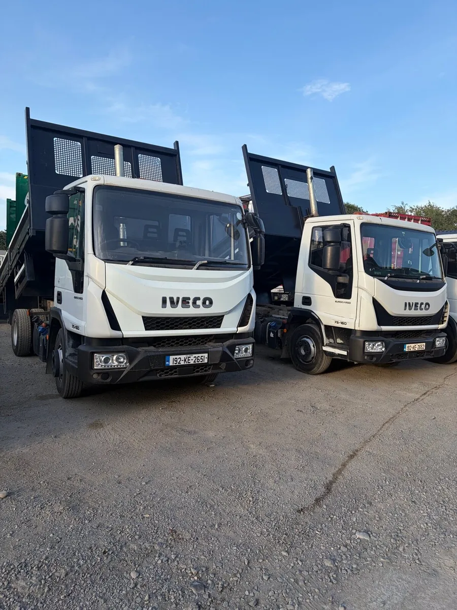 Choice of 4 , 7.5ton Iveco Tippers - Image 1