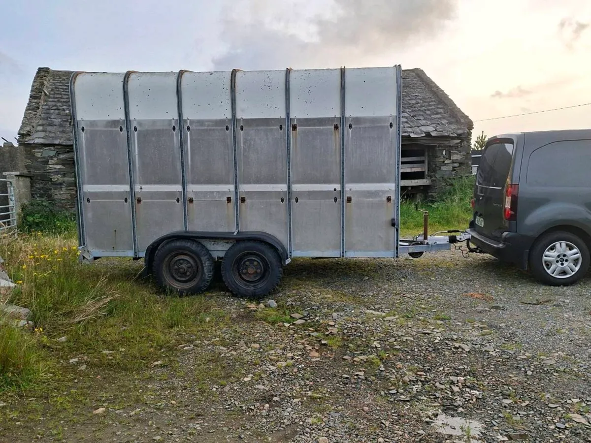 Ivor Williams 12x6 high roof - Image 1