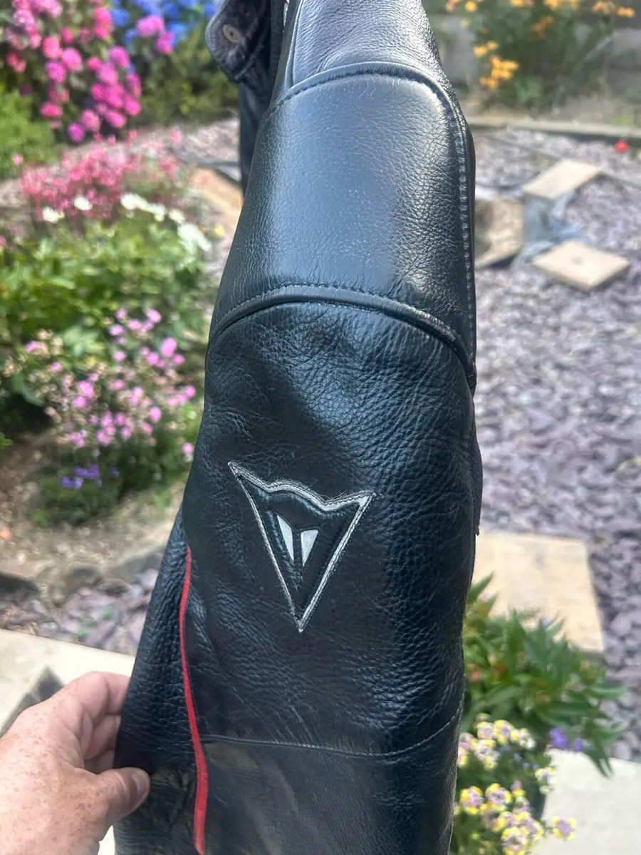 Dainese leather jacket size 58 and comfort seat - Image 3