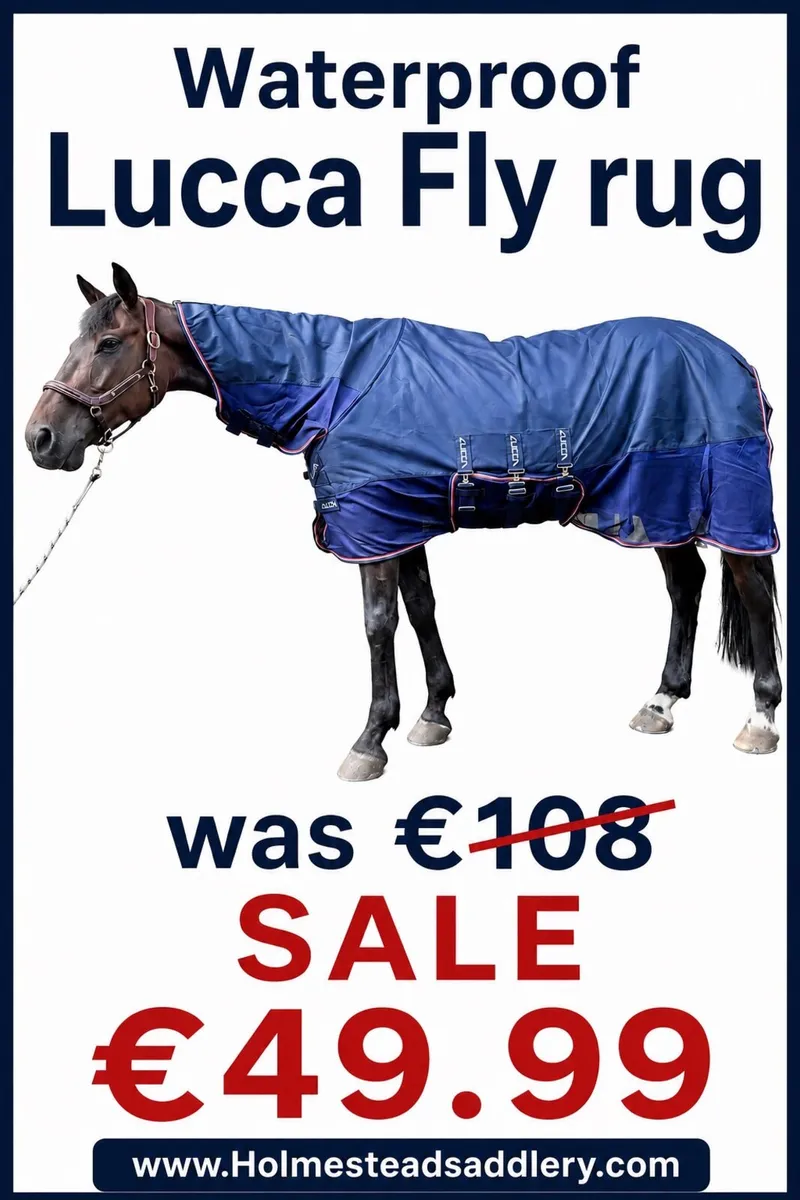 Waterproof fly rugs all sizes were €108 for €49.99