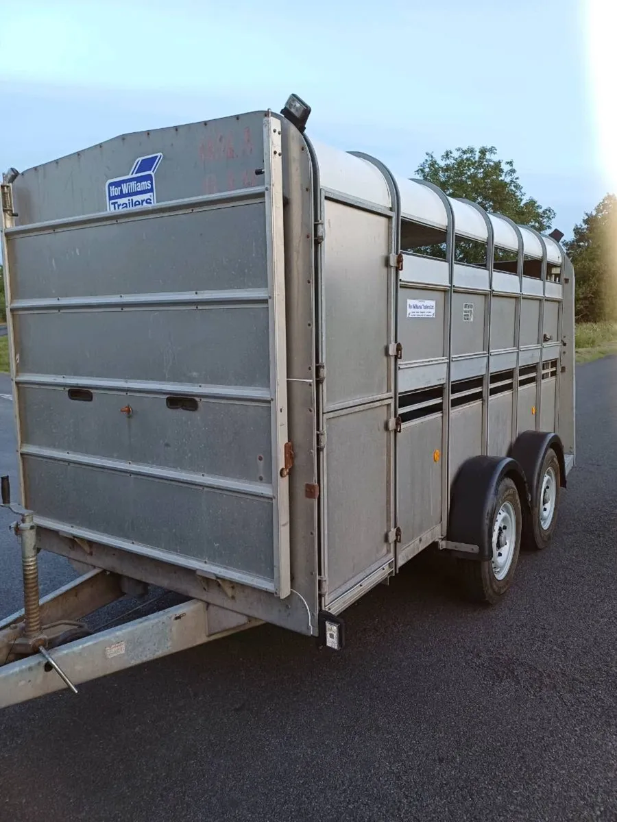 Ifor williams 12 x 6 cattle trailer €4000 - Image 1
