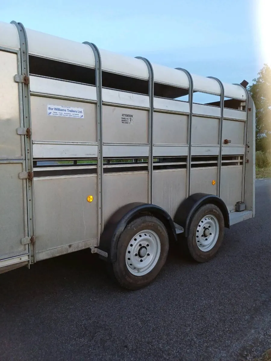 Ifor williams 12 x 6 cattle trailer €4000 - Image 4