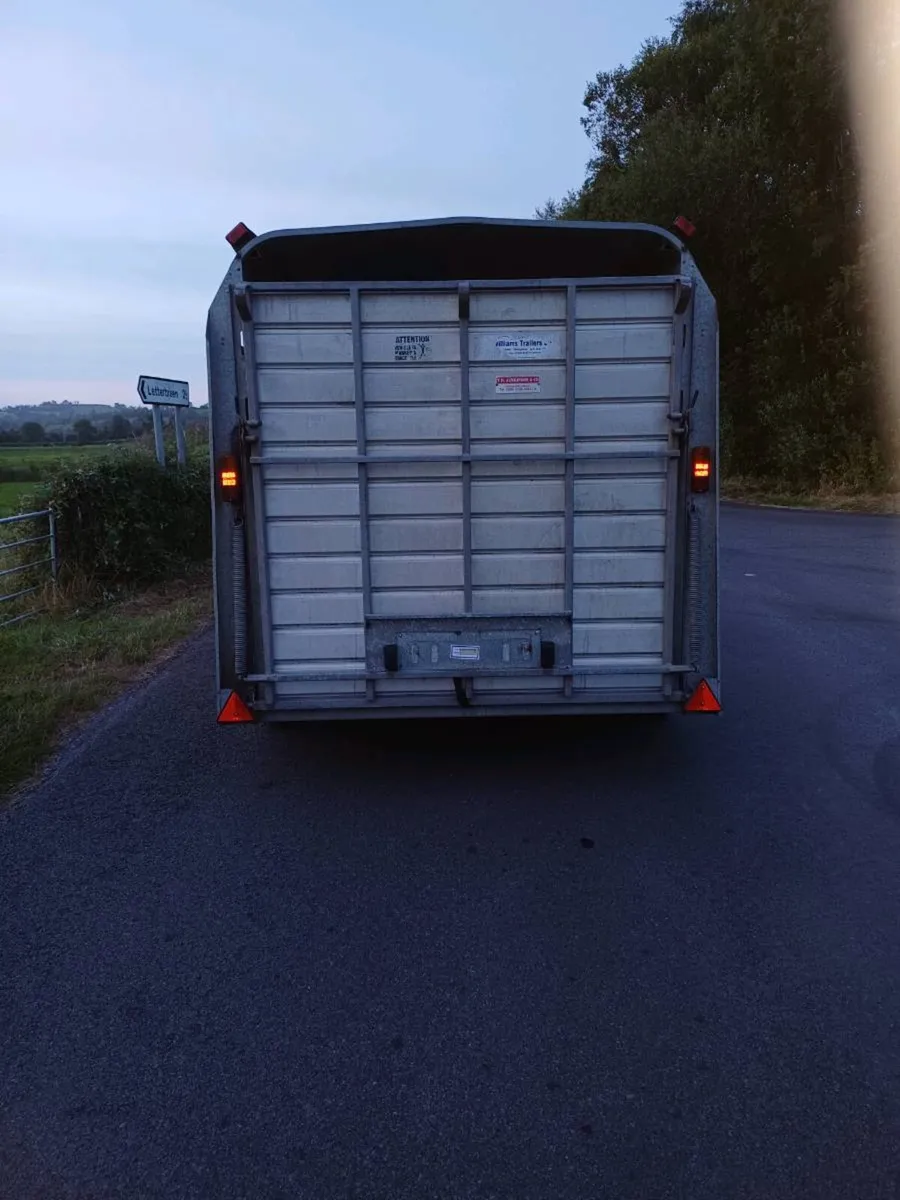 Ifor williams 12 x 6 cattle trailer €4000 - Image 3
