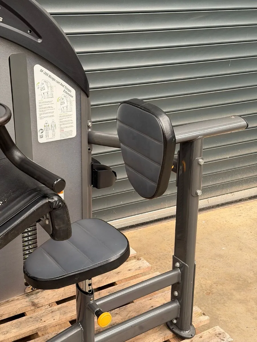 Sportsart Bicep and Tricep Used - Image 2