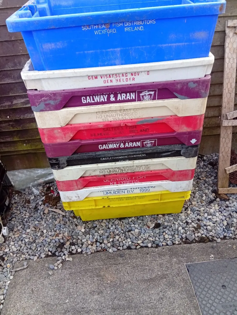 Fish boxes