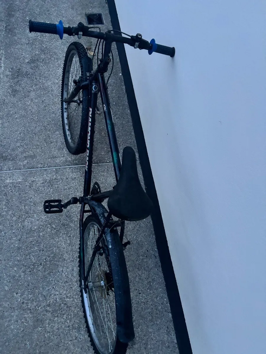 Bike - Image 2