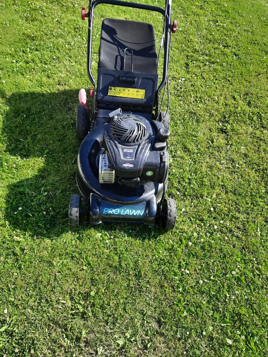 Self driving lawnmower - Image 3