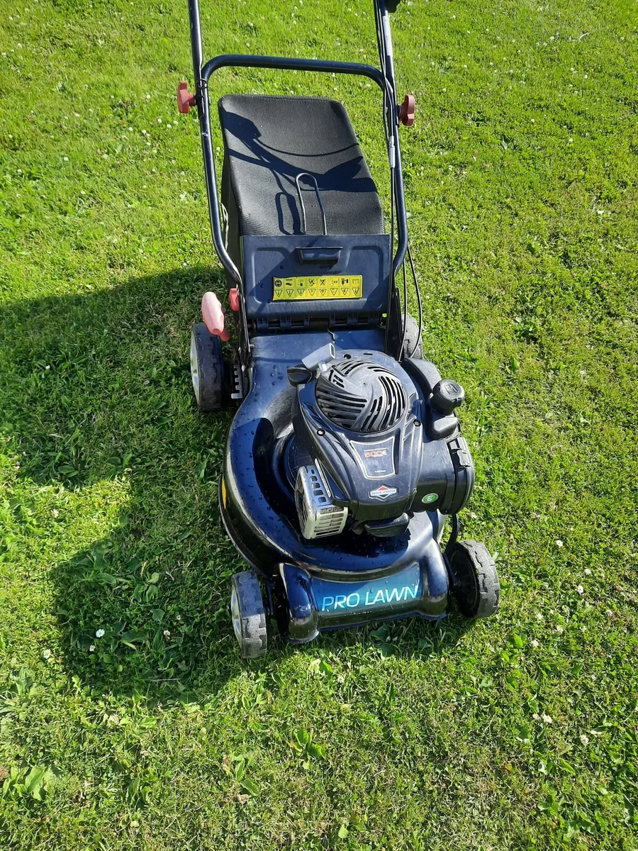 Self driving lawnmower - Image 1