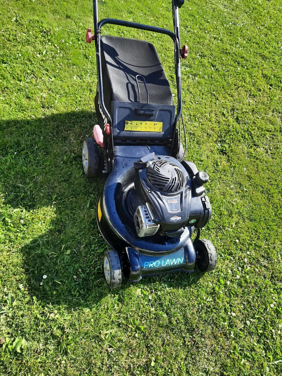 Self driving lawnmower - Image 2