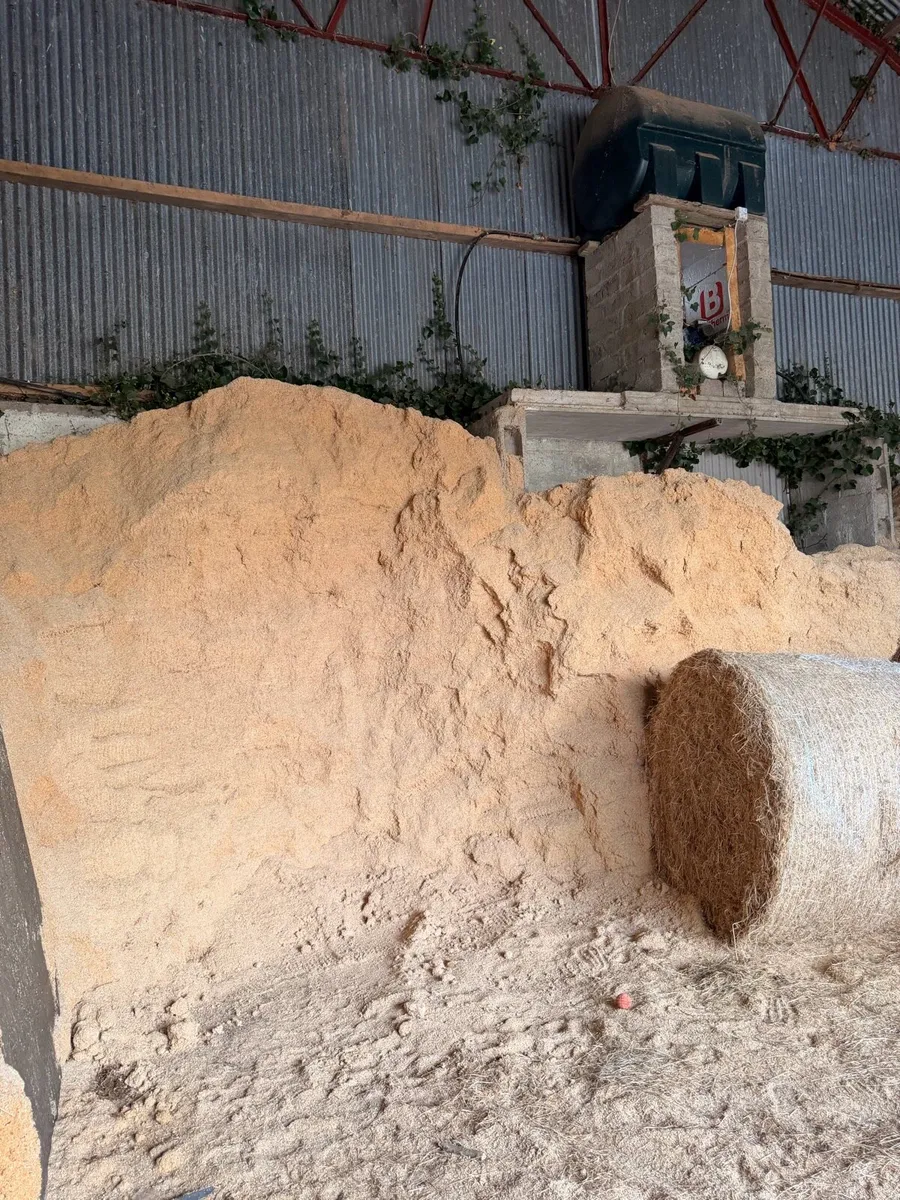 Saw Dust Shavings - Image 1