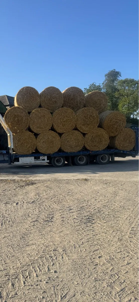 Rye straw - Image 2