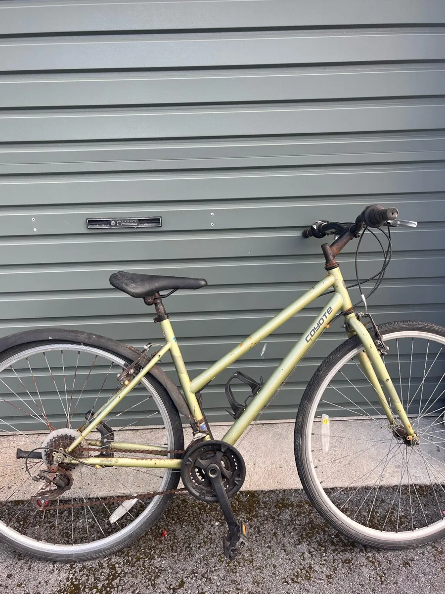 Coyote adult road bike - Image 3