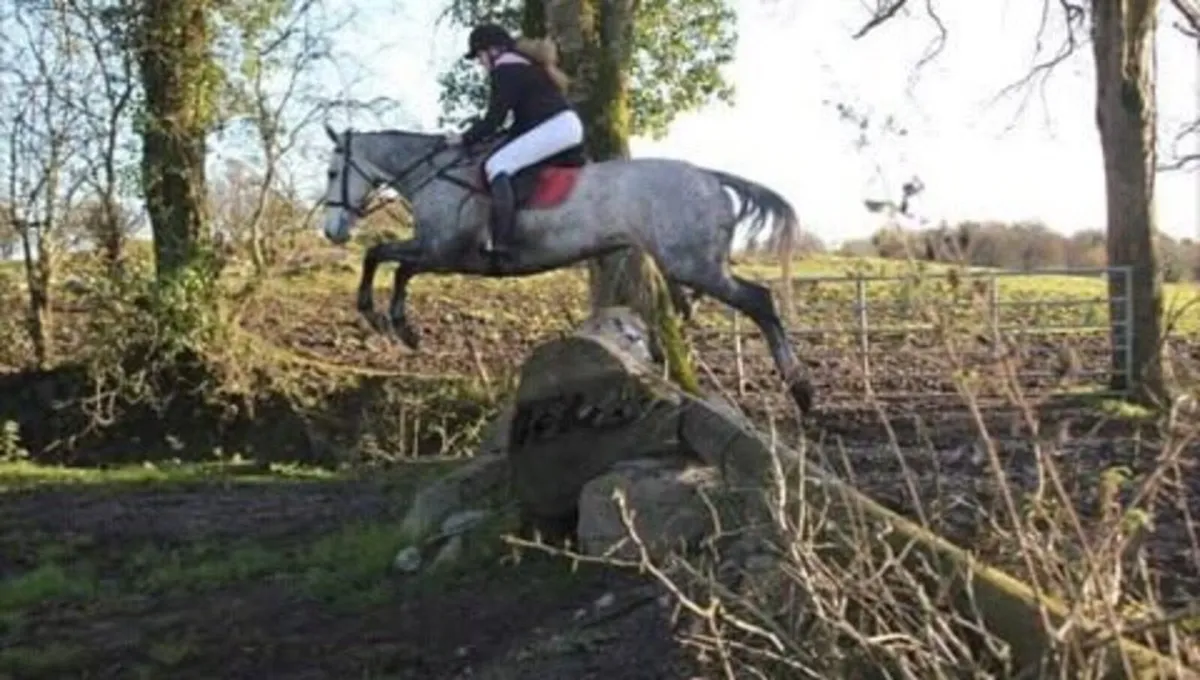 16' 2 all rounder - Image 3