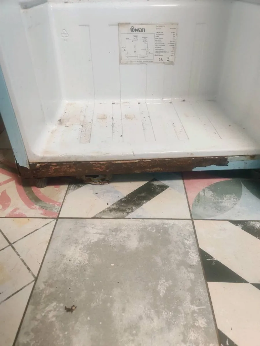 Swan fridge - Image 3