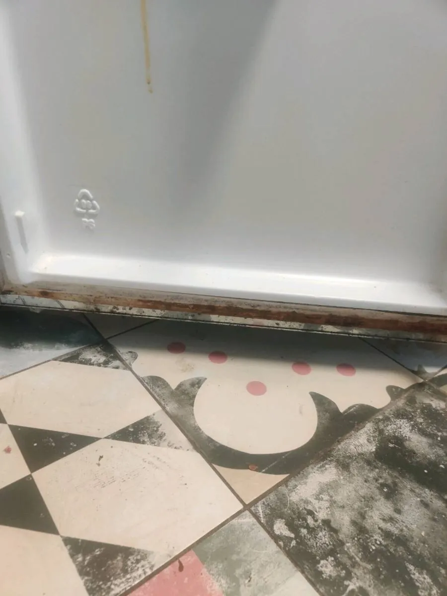 Swan fridge - Image 4