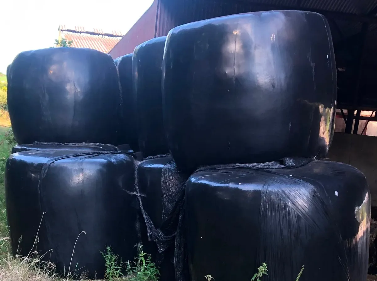 2025 paddock Silage bales