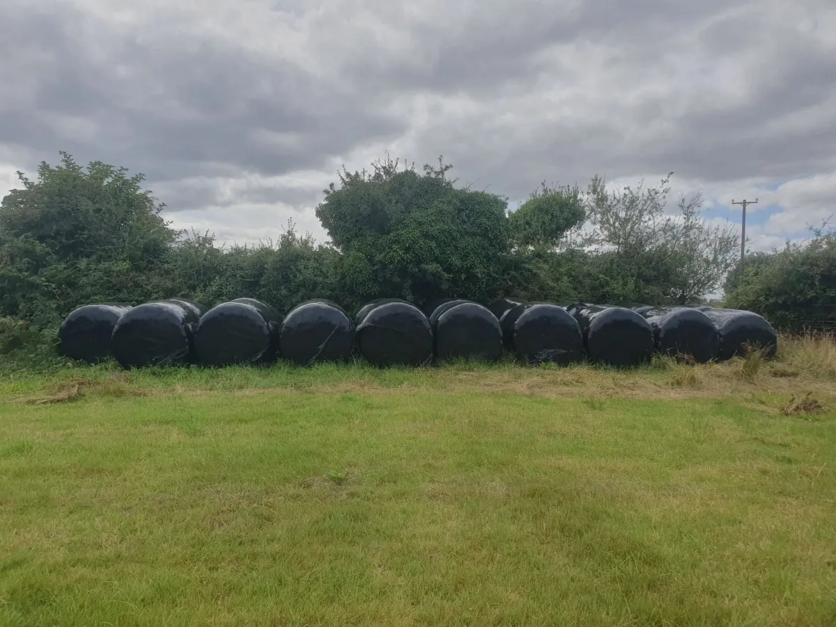 Haylage Bales - Image 2