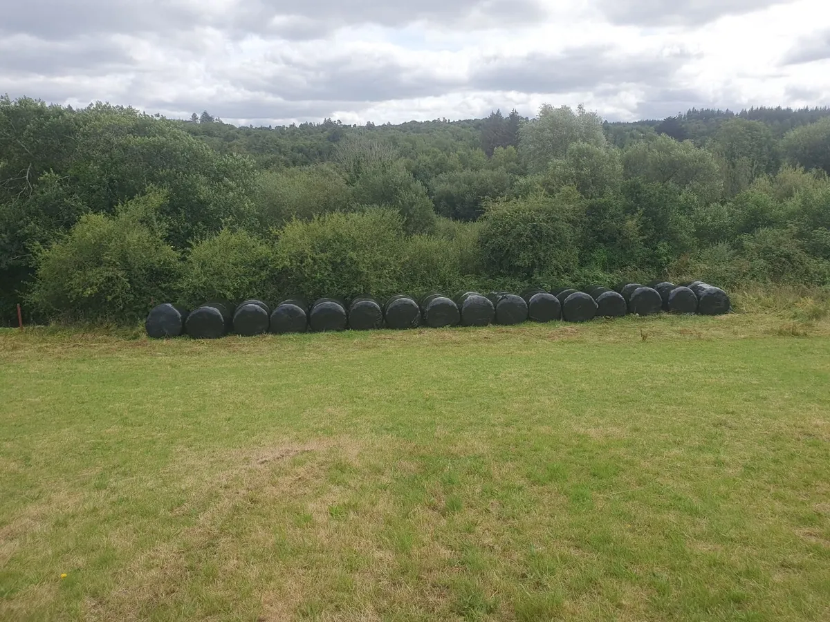 Haylage Bales - Image 3