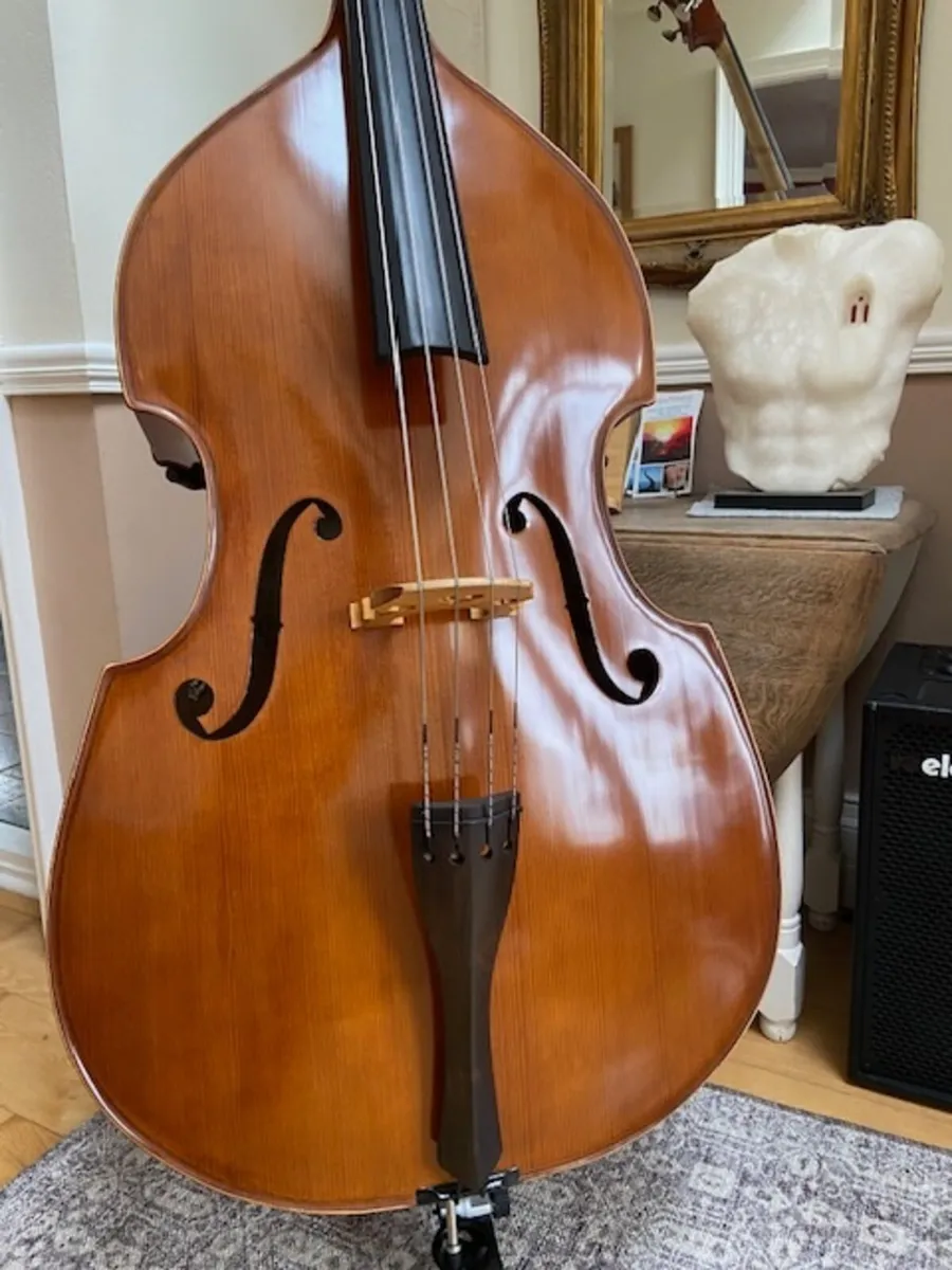 Double Bass 3/4 solid wood, bow & case + pickup - Image 1