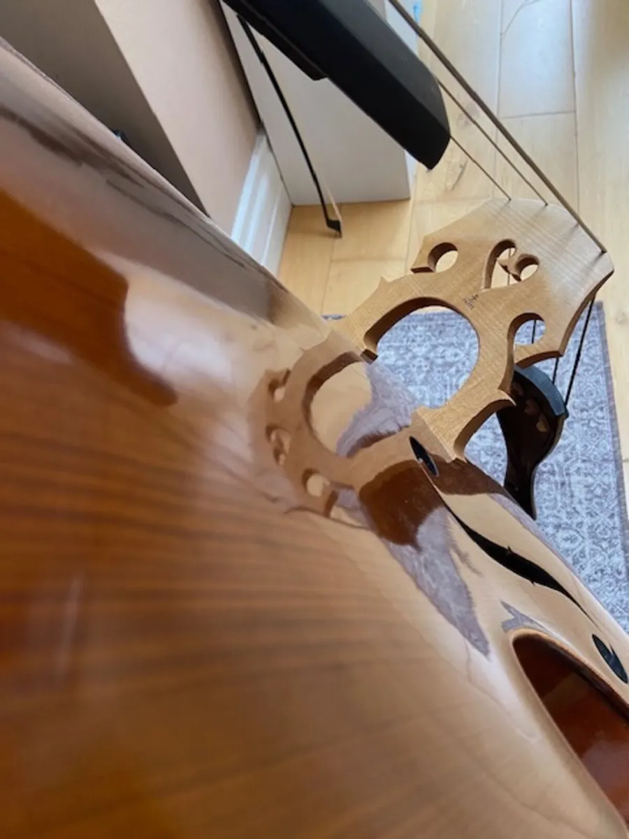 Double Bass 3/4 solid wood, bow & case + pickup - Image 2