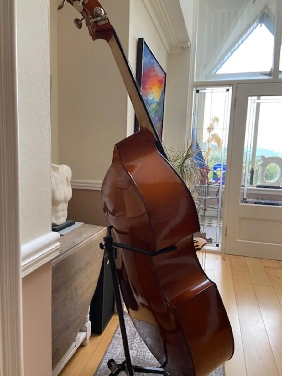 Double Bass 3/4 solid wood, bow & case + pickup - Image 4