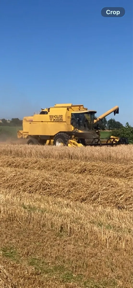 New Holland TX65 Plus - Image 2