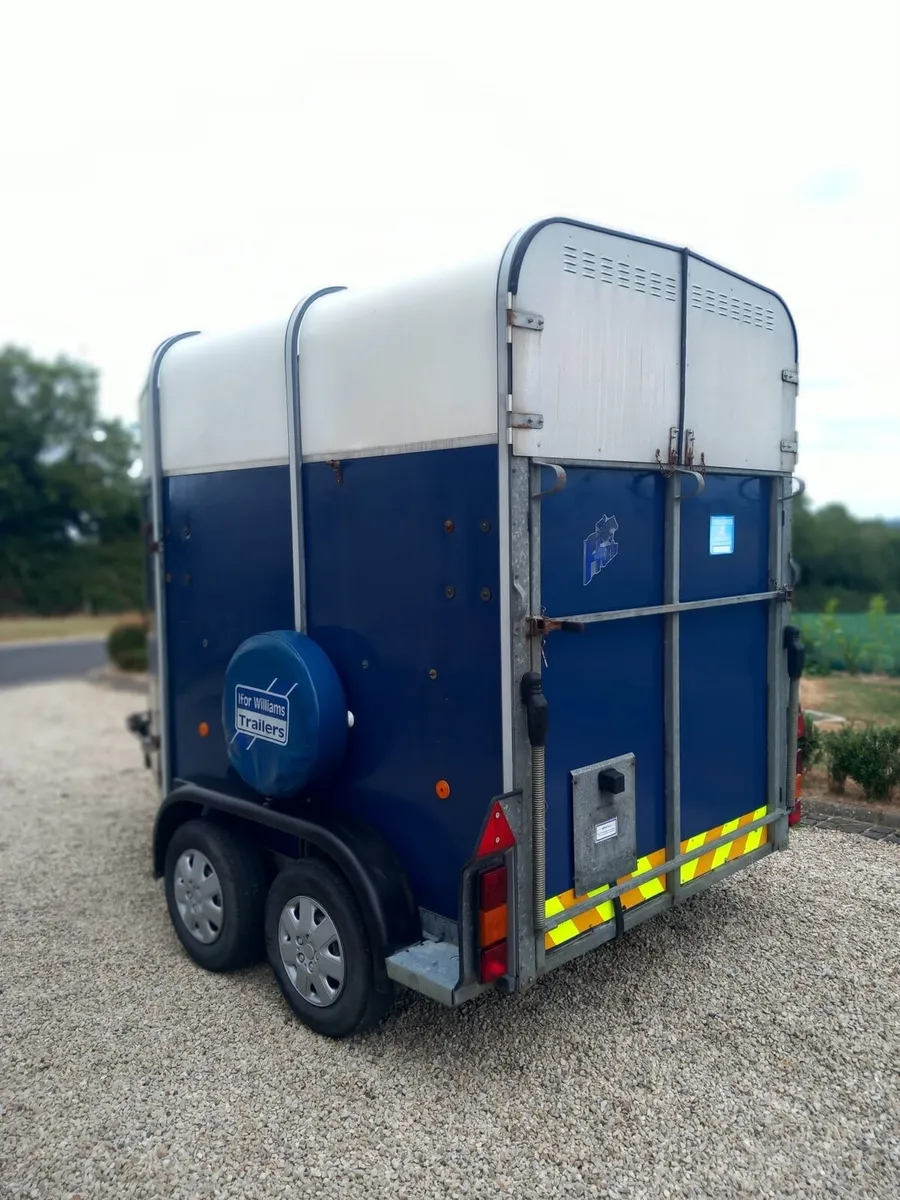 Ifor Williams 505 Horsebox - Image 2