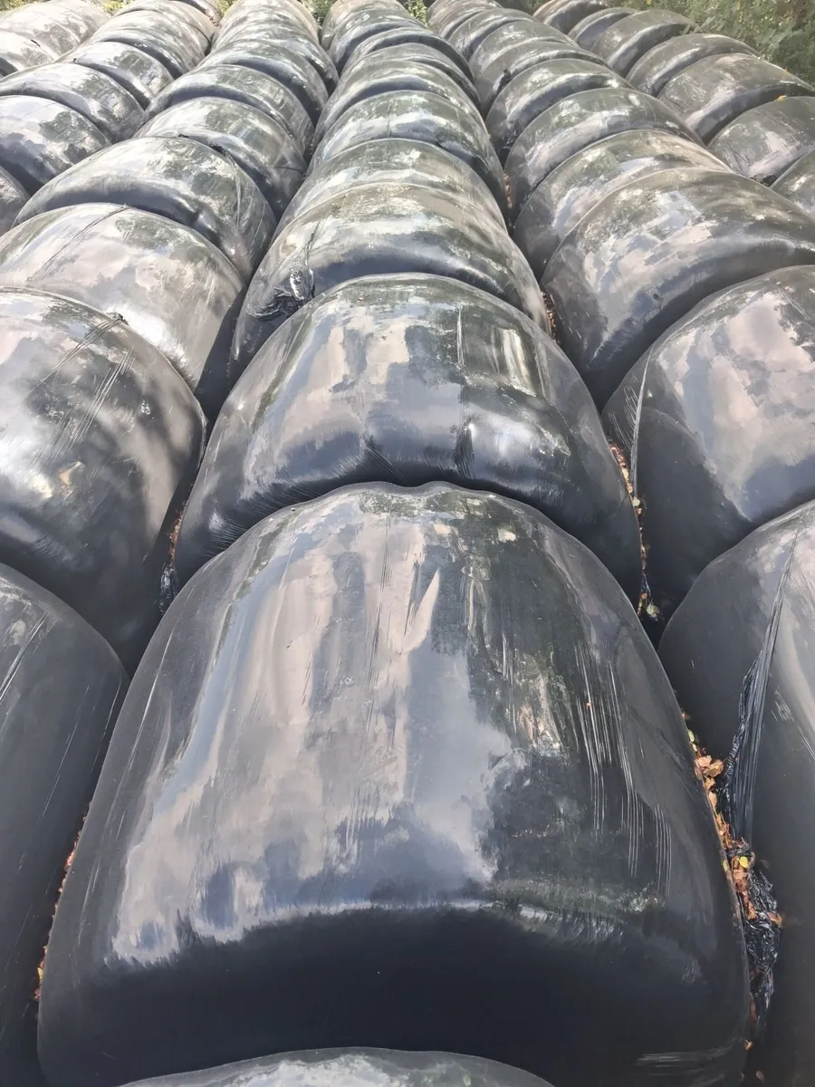 Bales of Silage 2026 - Image 2