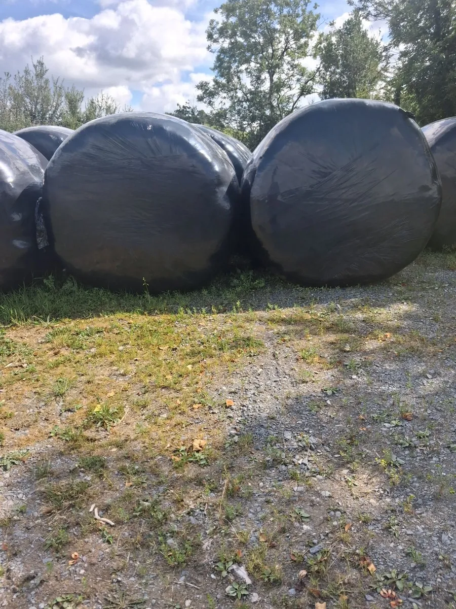 Bales of Silage 2026 - Image 1