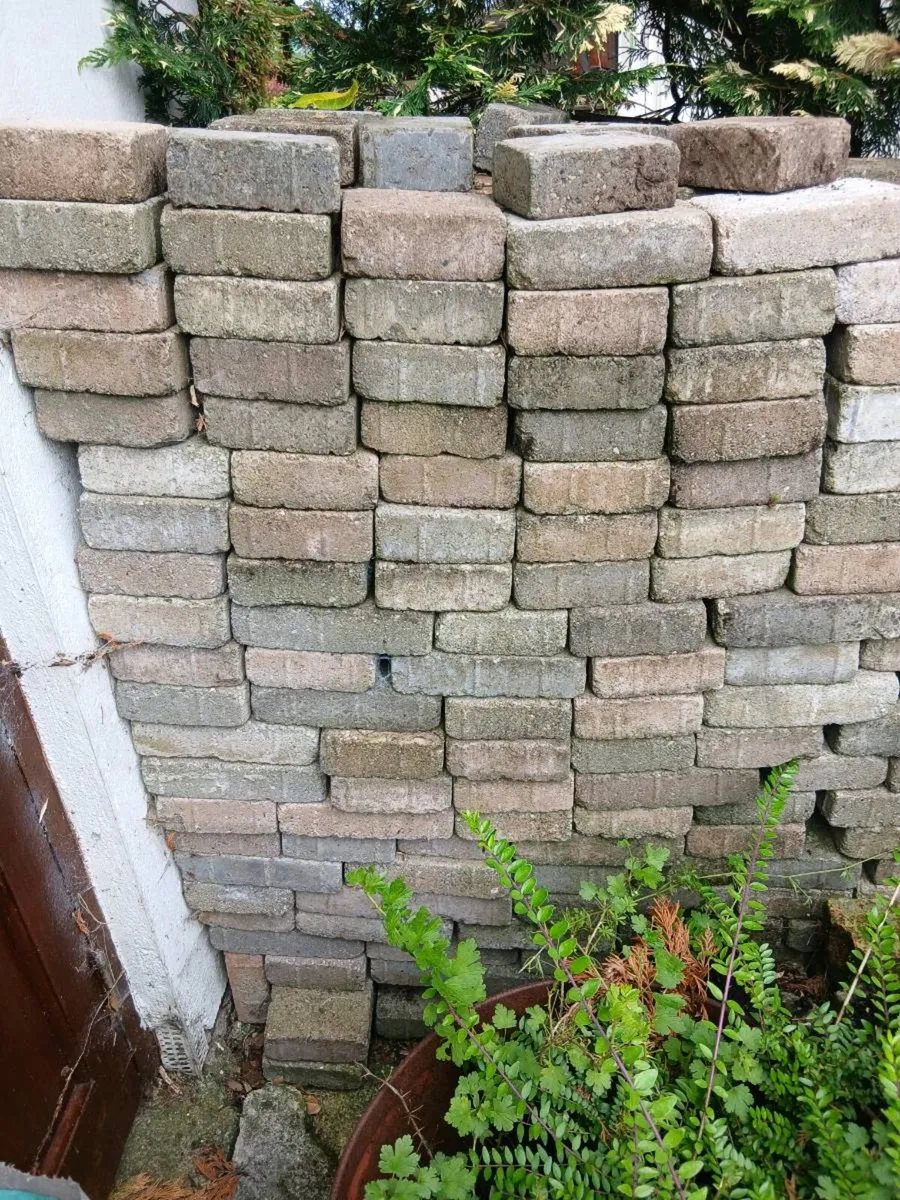 Paving bricks