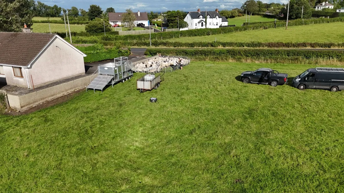 Mobile cage sheep dipping - Image 1