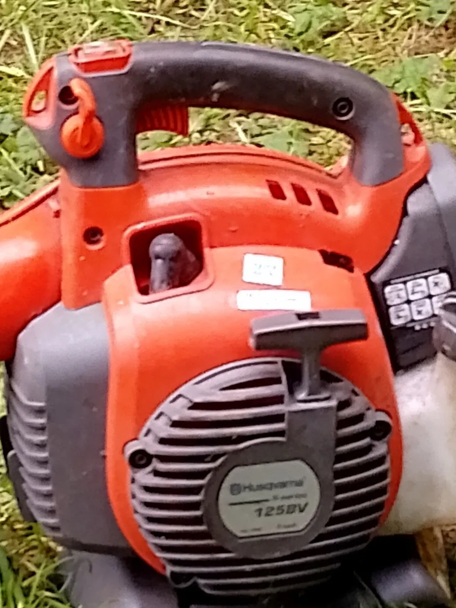 Leave blower - Image 2