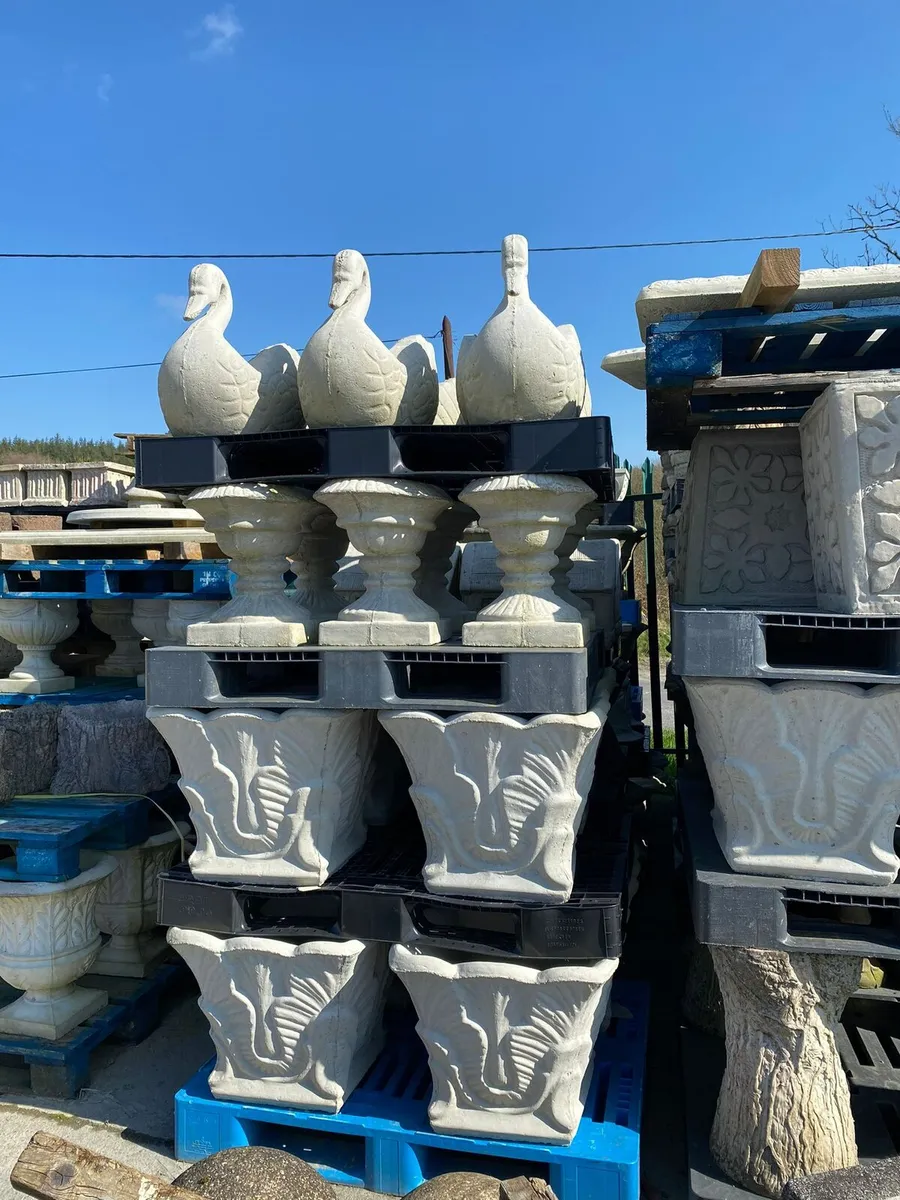 Flowers pots - Image 4