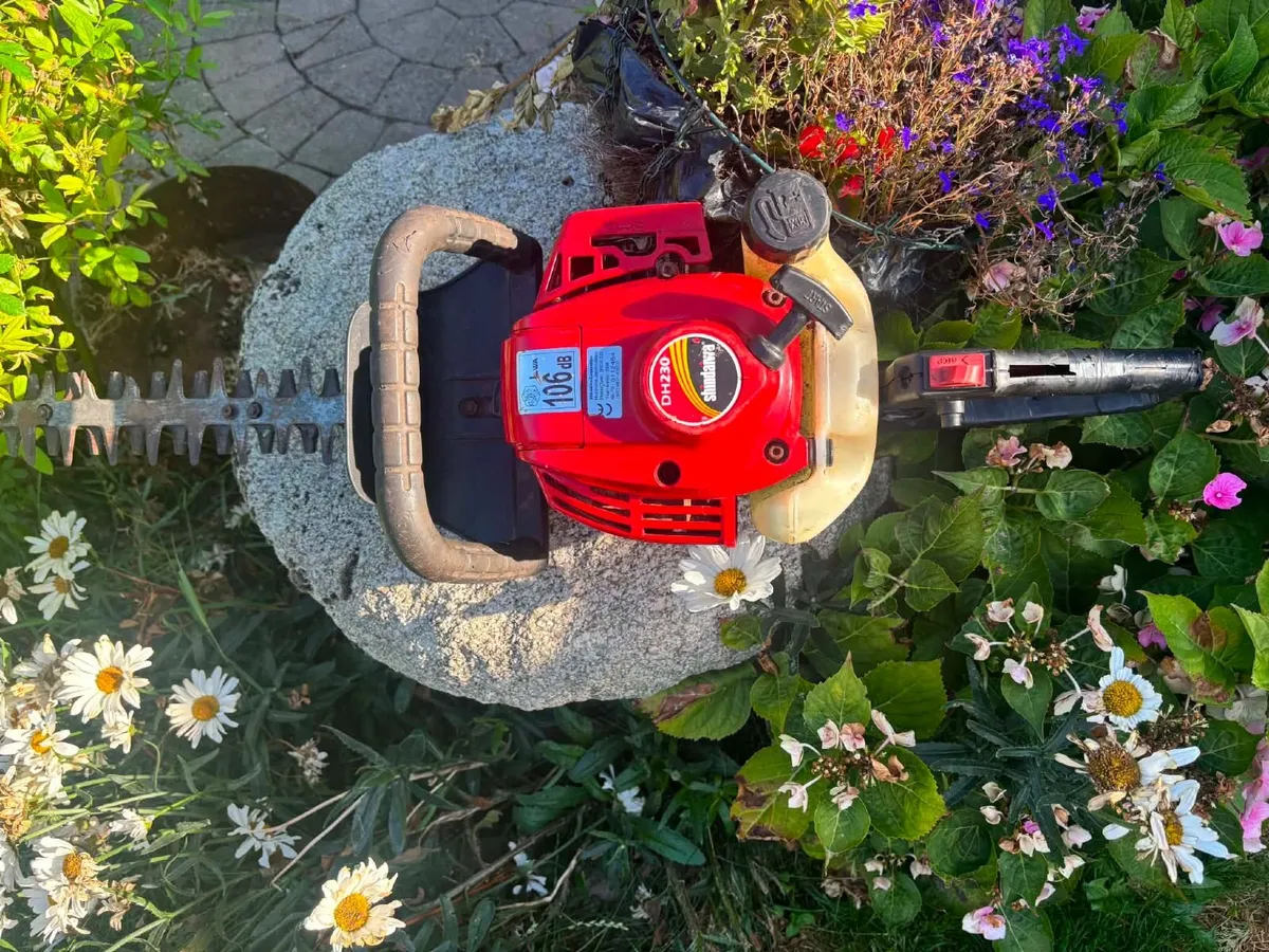Hedge trimmers - Image 1