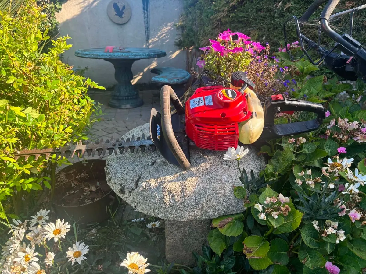 Hedge trimmers - Image 2