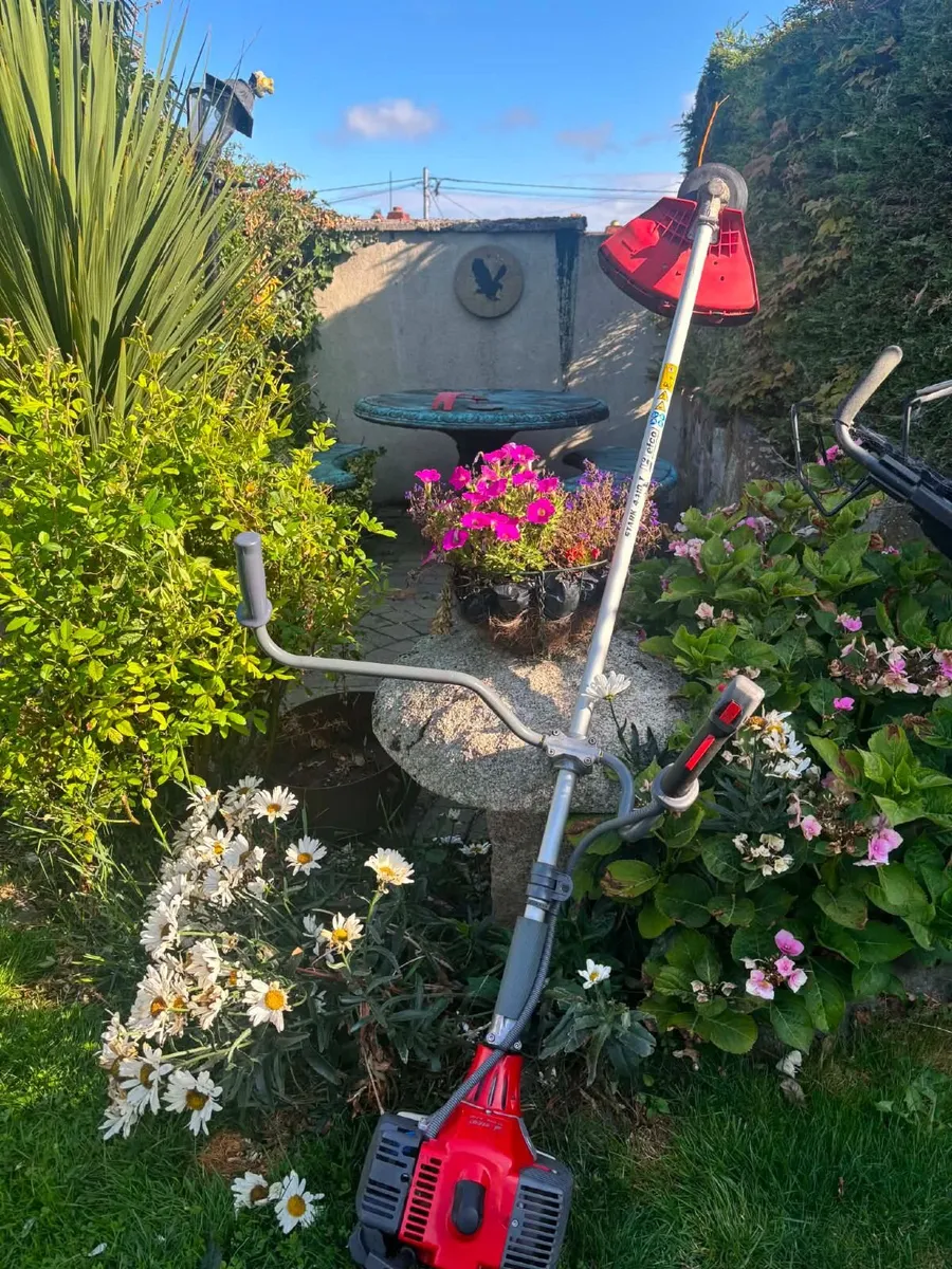 Efco weed eater - Image 1