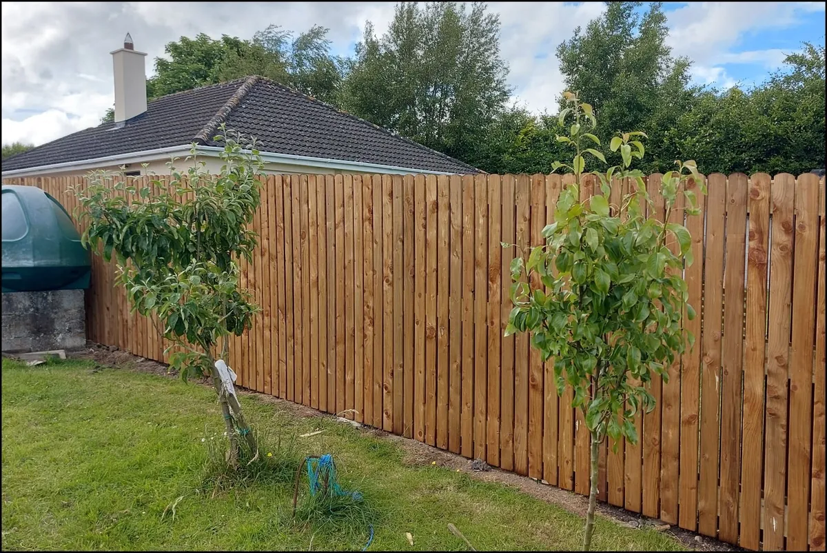 Fencing & Repairs - Image 4
