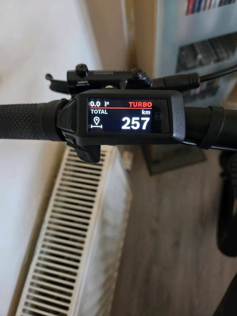 Ebike - Image 2