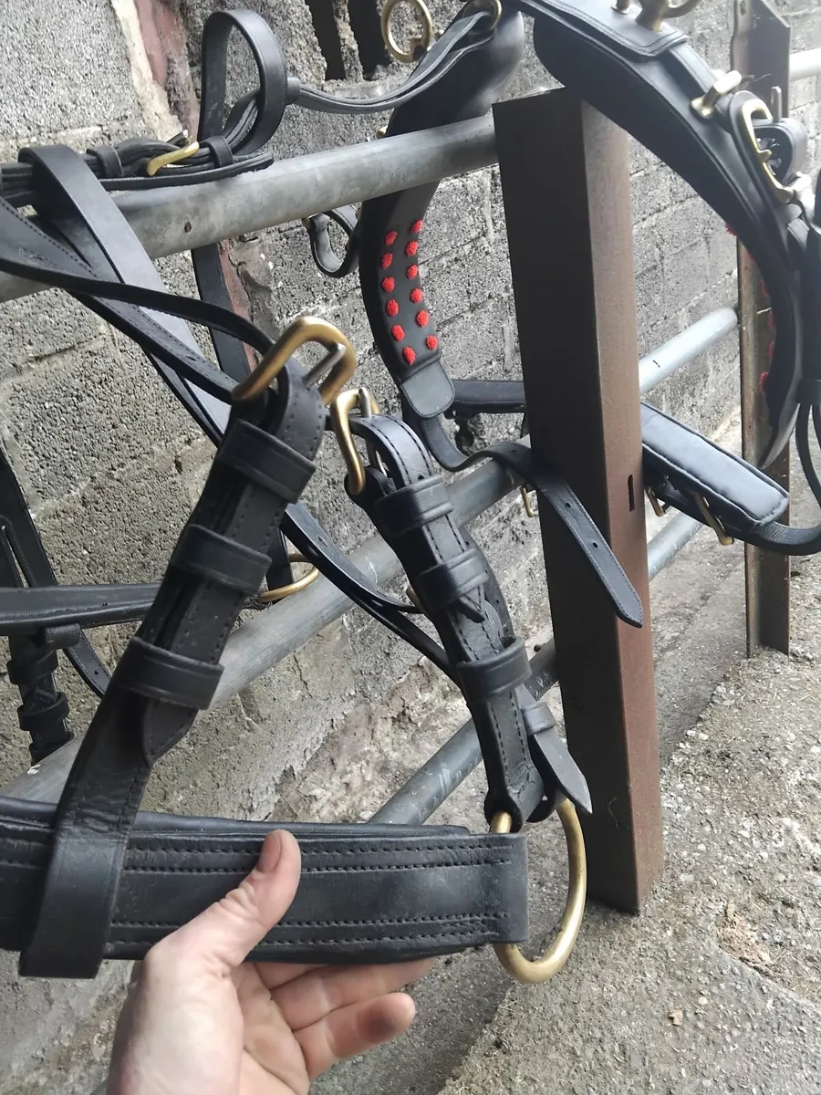 Horse harness - Image 1