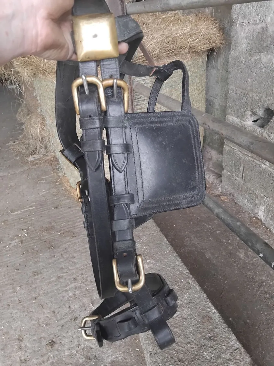 Horse harness - Image 2