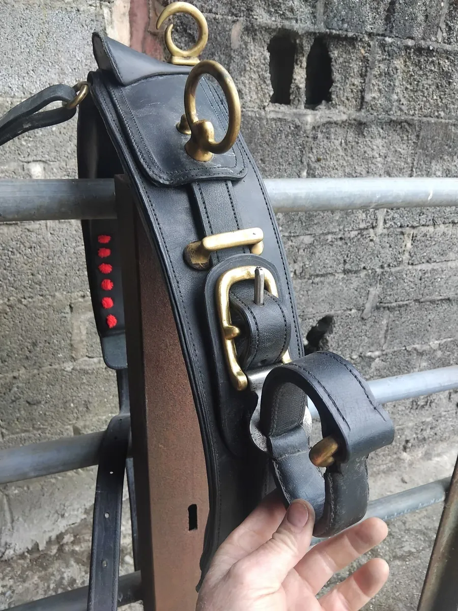 Horse harness - Image 3