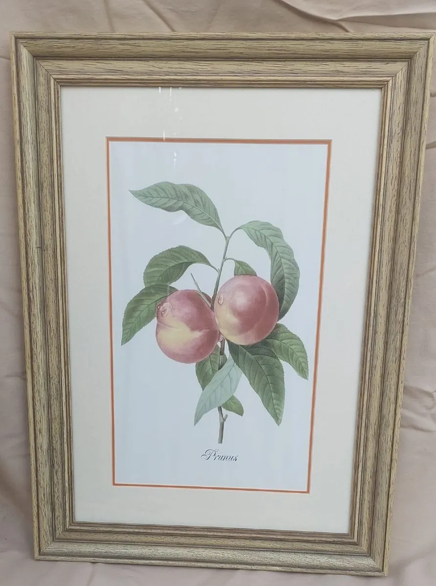 Framed Pictures - Image 3