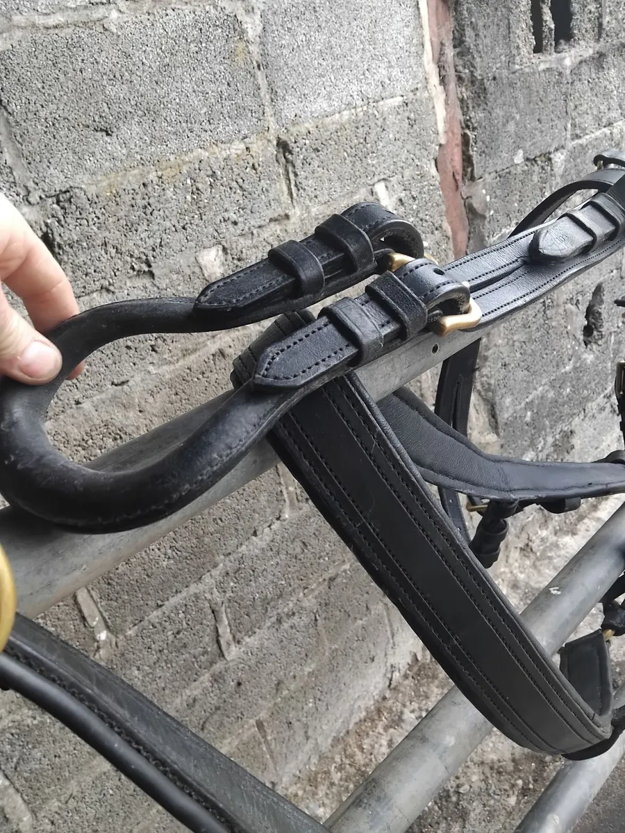 Horse harness - Image 4