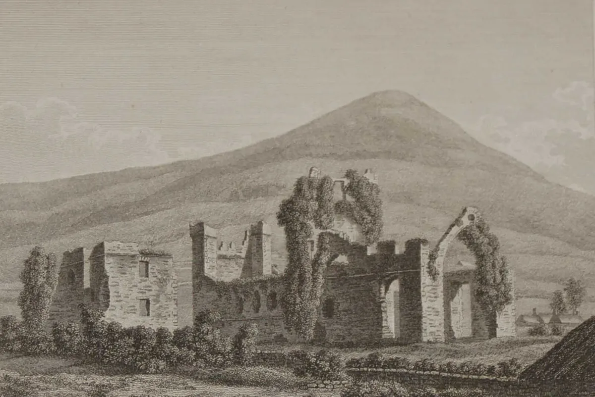 Carlingford Abbey County Louth 1797 Antique Print - Image 2