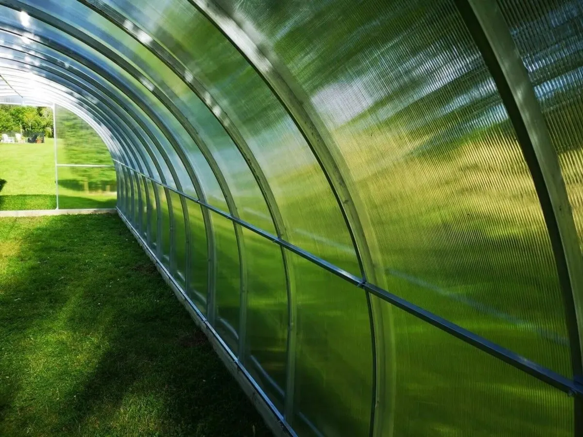 Titan 3 Polycarbonate Greenhouse/Polytunnel - Image 3