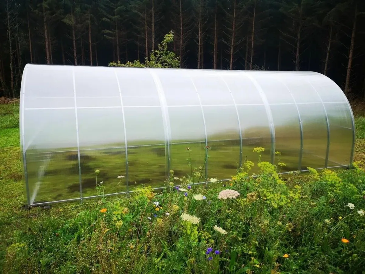 Titan 3 Polycarbonate Greenhouse/Polytunnel - Image 4