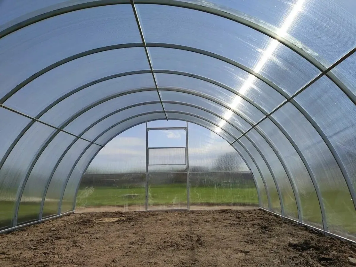 TITAN 4 Polycarbonate Greenhouse/Polytunnel - Image 3