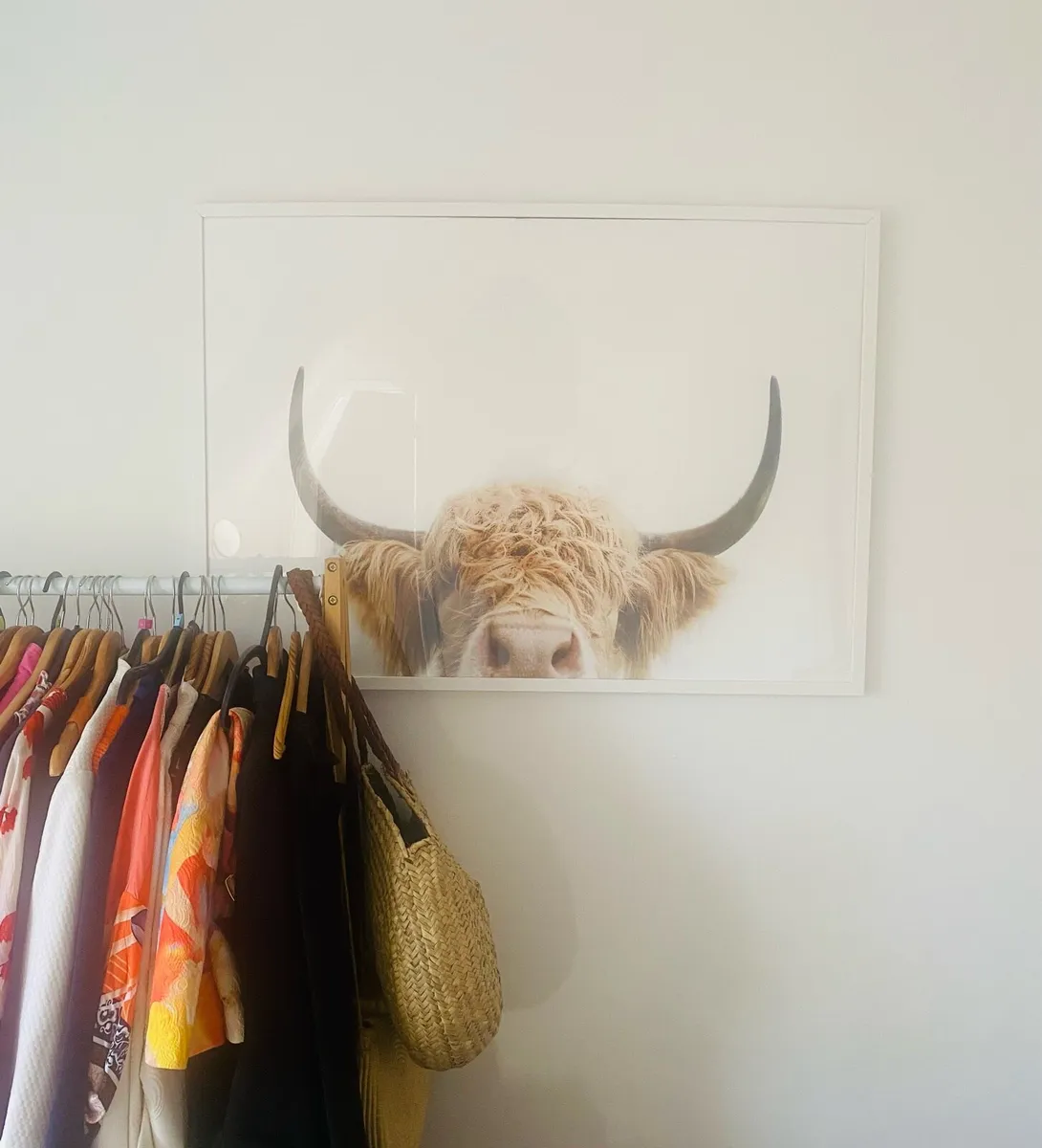 Large framed Highland Cow Print