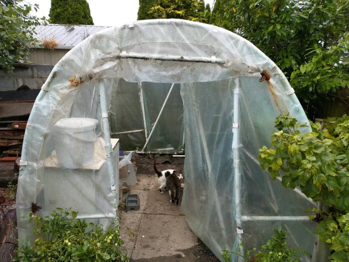 Poly tunnel - Image 1