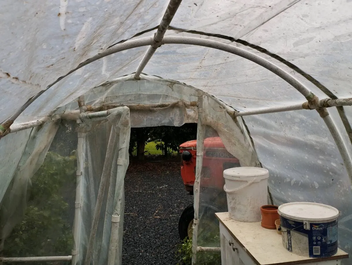 Poly tunnel - Image 2